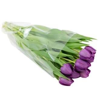 Fresh Cut 10-stem Tulip Flowers - Spritz™