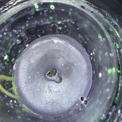 Guest review image 3 of 3, zoom in