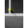Trends International Joseph S Giacalone - Yellow On The Line Unframed Wall Poster Prints - 4 of 4