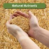 Soil Sunrise Horticultural Grade Rice Hulls; for House Plants and Chicken Bedding - 4 of 4