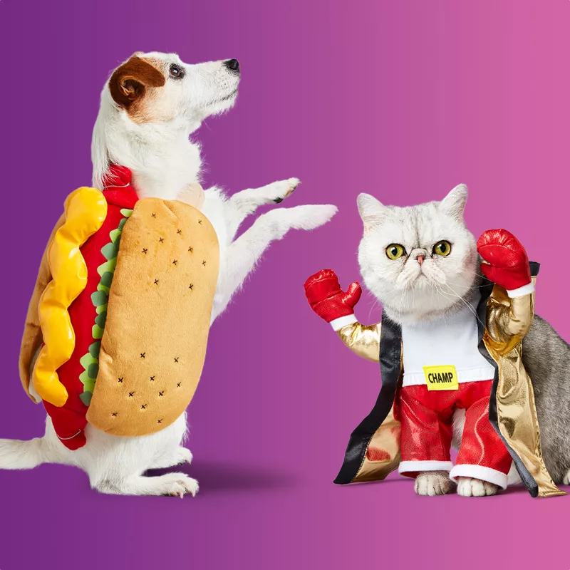 Genuine Astros Brown Dog Plush Merchandise Stuffed Animal 8"
