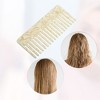 Unique Bargains Women Curly Thick Wavy Straight Hair Heat Resistant Wide Tooth Comb 1 Pc - 4 of 4