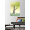 Trends International The Comedy Wildlife Photography Awards: Perdita Petzl - Conducting Unframed Wall Poster Prints - 2 of 4