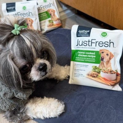 Guest review image 1 of 1, zoom in