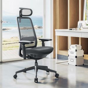 COLAMY Mesh Ergonomic Office Chair, High Back Computer Desk Chair with Adjustable Headrest - 1 of 4