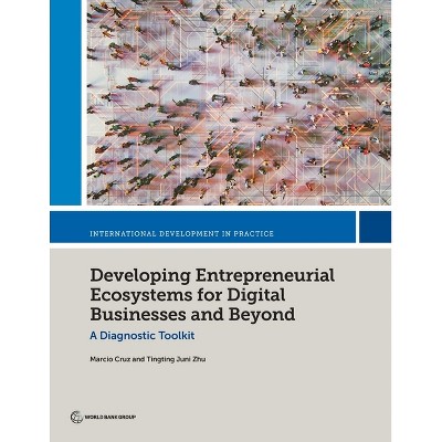 Developing Entrepreneurial Ecosystems for Digital Businesses and Beyond - (International Development in Practice) (Paperback)