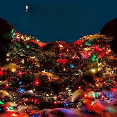 50-Count Multicolor LED Twinkle Outdoor Christmas Lights