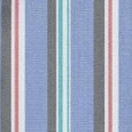dark blue stripe