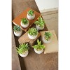 Small Faux Succulents with Round Cement Pots – 2.25" Modern Decorative Greenery (2 X Set of 8) by Kalalou - 2 of 3