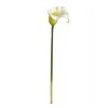 Floral Home 27" White Calla Lily - 24-Piece - 2 of 2