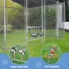 Outside Dog Kennel with Roof - 3 of 4