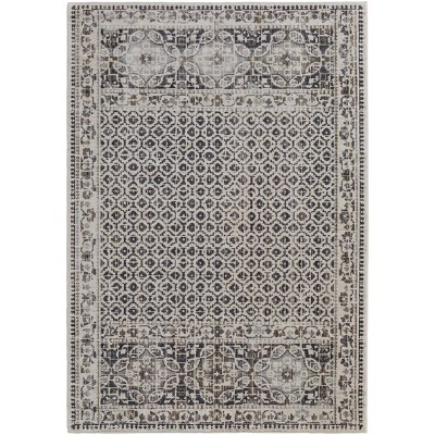 Kano Transitional Distressed Ivory/Taupe/Gray Area Rug