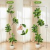 5FT/6FT/7FT Artificial Fiddle Leaf Fig Tree with Sphere Planter and Moss - Faux Rubber Plant for Home Decor, Office, or Living Spaces - 4 of 4