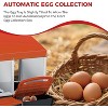 3/ 4 Hole Metal Chicken Nesting Box with Removable Roll-Out Tray Easy Egg Collection & Clean Galvanized Steel Laying Box, for Backyard Coop Orange - 4 of 4