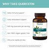 Himalaya Quercetin Supplement for Plant-Based Bioflavonoid Support and Daily Wellness, 500 mg, Non-GMO, 60 Vegetarian Caplets, 2 Month Supply - 4 of 4