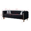NicBex 84.25 Inch Velvet Tufted 2-Seat Sofa with 2 Throw Pillows for Living Room,Apartment,Bedroom - 3 of 4