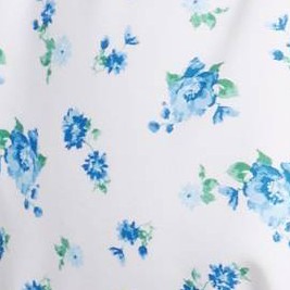 Blue/White Floral Print