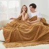 Cozy Bliss Plush Waffle Fleece Throw Blanket, Ultra Soft Comforter Style Home Blanket - 4 of 4