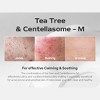SUNGBOON EDITOR Deep Collagen Overnight Facial Mask - CICA Teatree - 4 of 4