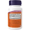 Lycopene 10mg by Now Foods  -  60 Softgel - 2 of 3