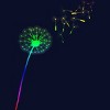 Adult Design By Humans Pride Dandelion Rainbow Flower Wish By T-Shirt - 2 of 2