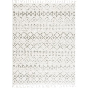 Berber Fringe Shag BFG516 Power Loomed Indoor Rugs - Safavieh - 1 of 4