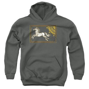 Boys’ Lor Rohan Banner Hooded Sweatshirt - 1 of 4