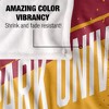 Park University Fan Zone Silky Touch Super Soft Throw Blanket 50x60 - 4 of 4