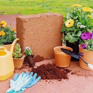 Envelor 10lb Compressed Coco Coir Brick Potting Soil - 1 of 3