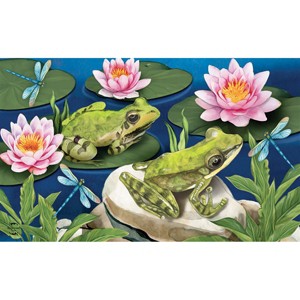 Briarwood Lane Doormat 30x18 Indoor Outdoor Frog Pond Summer For Summer Doormat - 1 of 3