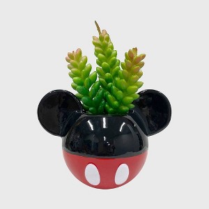 Disney 2pc Indoor/Outdoor Ceramic Mickey & Minnie Mouse Classic Succulent Set: Novelty Garden Accessories, No Drainage - 1 of 4