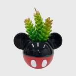 Disney 2pc Indoor/Outdoor Ceramic Mickey and Minnie Mouse Classic Succulent Set