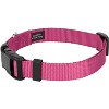Country Brook Petz Deluxe Nylon Dog Collar and Leash - 2 of 4