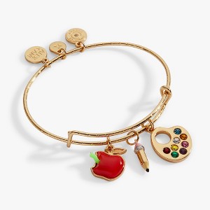Alex and Ani 'Teacher's Pet' Multi Charm Textured Bangle : Target