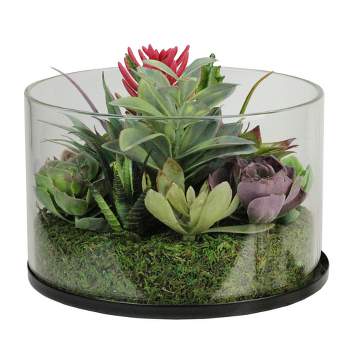 Northlight 8" Mixed Succulent Artificial Arrangement in Round Glass Jar - Green/Pink