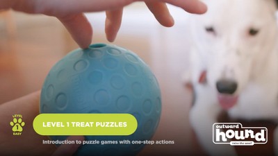 Orange and White Interactive Dog Treat Puzzle Dispenser