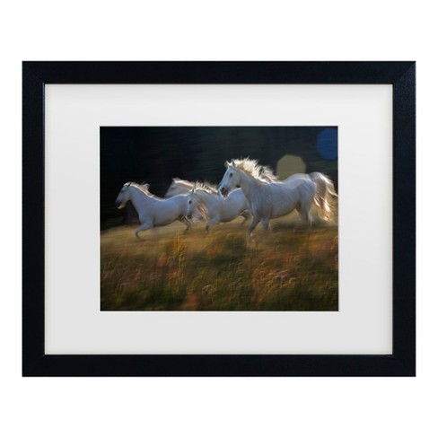 Trademark Fine Art - milan malovrh Riding The Field Matted Framed Art - image 1 of 4