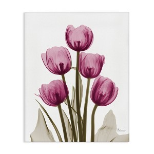 Stupell Industries Pink X-Ray Tulips, 16" x 20" - 1 of 4