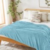 Inhand Flannel Throw Blanket, 50”x60” Super Soft Fuzzy Blanket for Couch Sofa Bed Office, Cozy Plush Lightweight Blanket Throw Size - 4 of 4