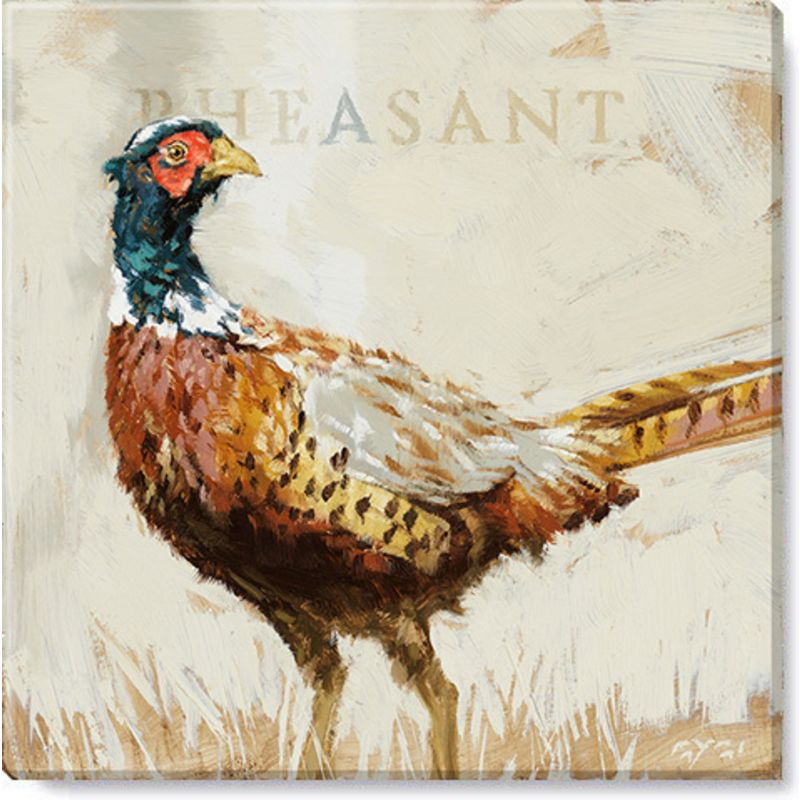 Sullivans Darren Gygi Pheasant Canvas, Museum Quality Giclee Print, Gallery Wrapped, Handcrafted in USA, 1 of 4