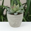 Unique Bargains Artificial Plants Pulp Planter Plastic Flesh 2.44"x2.44"x3.35" 1Pc - 2 of 4