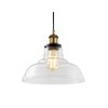 11" Metal/Glass Litchfield Farmhouse Pendant: UL Listed, Adjustable Height - JONATHAN Y - 2 of 4