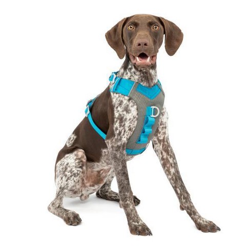 Fashion target dog harness