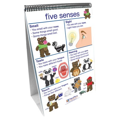 NewPath Learning Early Childhood Science Readiness Flip Chart, All About Me