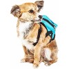 Pet Life 'Waggler Hobbler' Large-Pocketed Compartmental Animated Dog Harness Backpack - 3 of 3