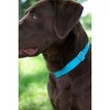 Country Brook Petz Premium Nylon Dog Collar and Leash Set for Small Medium Large Dogs - Vibrant 30+ Color Selection - 3 of 4
