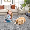 Area Rug Print Braided Area Rug - 4 of 4