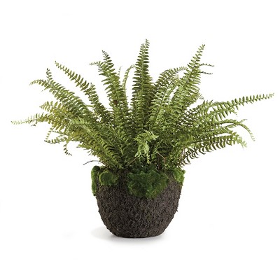 Plum & Post Grand Boston Fern Drop-In 30"