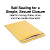 HITOUCH BUSINESS SERVICES Self Seal Catalog Envelopes 10"L x 13"H Brown 250/Box 486933/14247 - 2 of 3