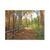 Trademark Fine Art Leslie Montgomery A Stroll Along The Gorge Wood Slat Art - image 3 of 4